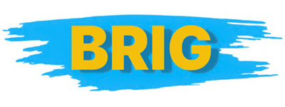 BRIG Brake Pad